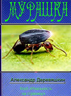 Обложка книги Мурашка Автор – Александр Деревяшкин
