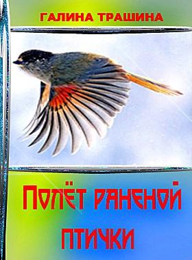 Обложка книги Полёт раненой птички