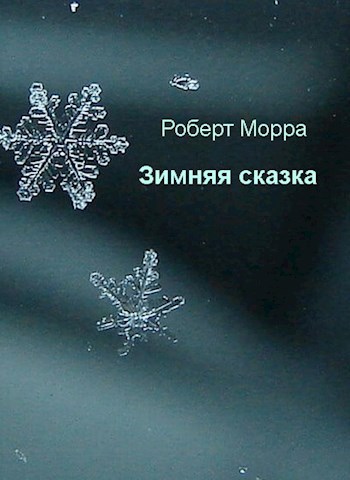 Обложка книги Зимняя сказка