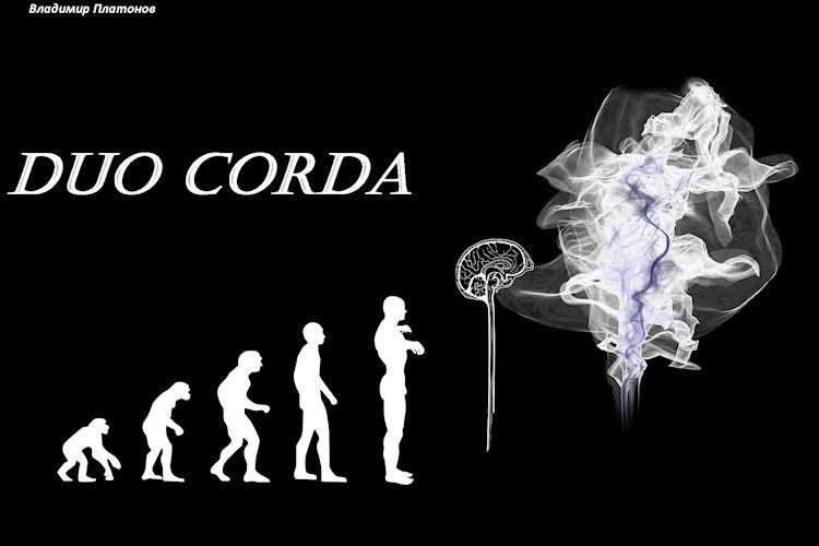 Обложка книги Duo corda