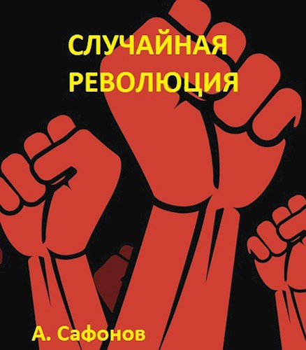 Обложка книги Случайная революция