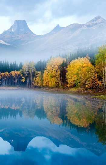 Обложка книги Звездная ночь.