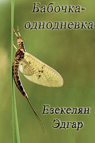 Обложка книги Бабочка-однодневка