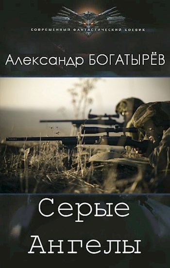 Обложка книги Серые Ангелы