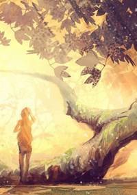 Обложка книги Дриада