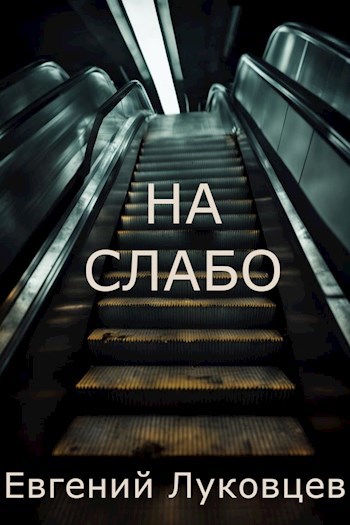Обложка книги На слабо