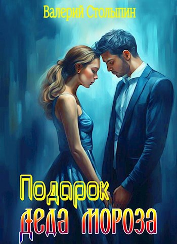 Обложка книги Подарок Деда Мороза