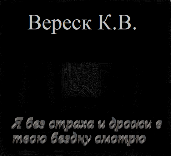 Обложка книги Я без страха и дрожи в твою бездну смотрю