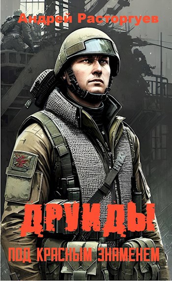 Обложка книги Друиды. Под красным знаменем