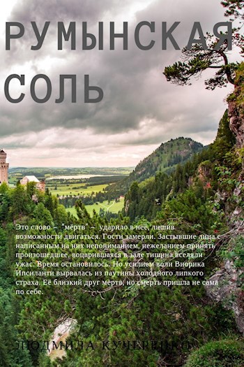 Обложка книги Румынская соль