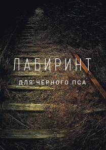 Обложка книги Лабиринт для чёрного пса