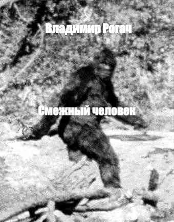 Обложка книги Смежный человек