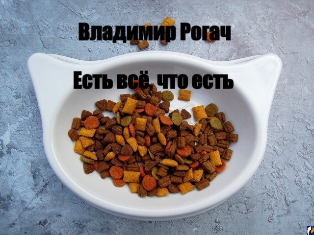 Обложка книги Есть всё, что есть