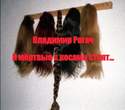 Обложка книги И мёртвые с косами стоят...