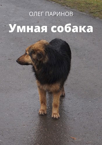 Обложка книги Умная собака
