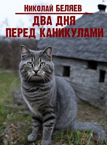 Обложка книги Два дня перед каникулами