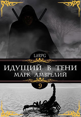 Обложка книги Идущий в тени 9