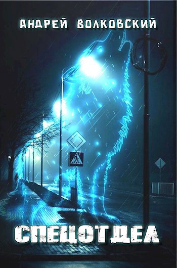 Обложка книги Спецотдел