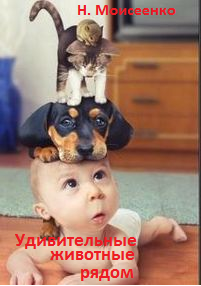 Обложка книги Удивительные животные рядом