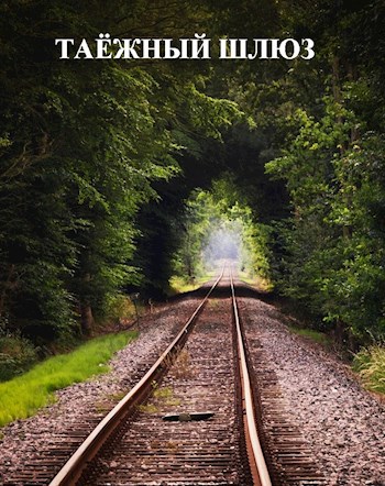 Обложка книги Таёжный шлюз