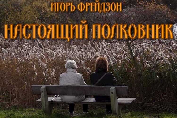 Обложка книги Настоящий полковник