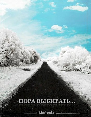 Обложка книги Пора выбирать...