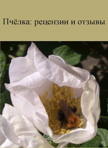 Обложка книги Пчёлка: рецензии и отзывы