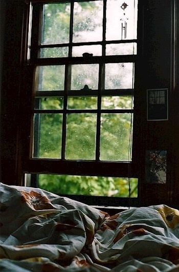 Обложка книги Трепетное