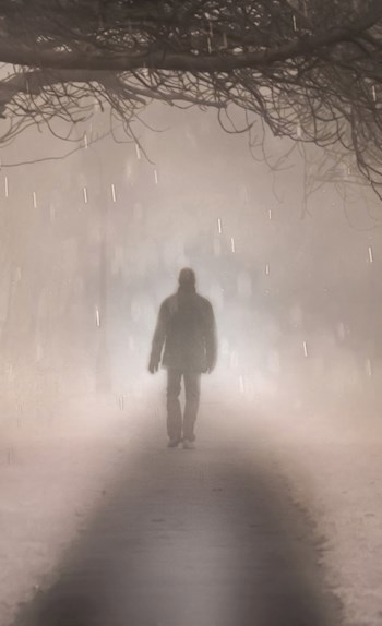 Обложка книги Не твоё дело