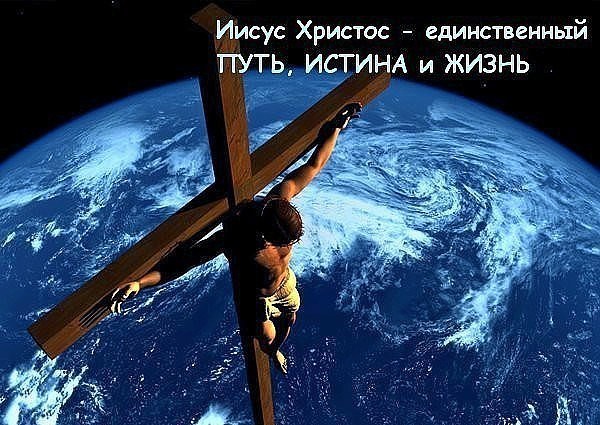 Обложка книги Овцы-в-Стаде