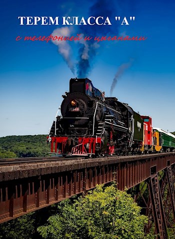 Обложка книги Терем класса А с телефонией и цыганами