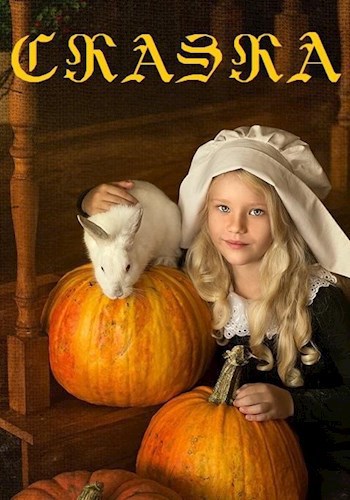 Обложка книги Сказка