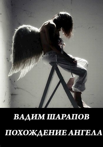 Обложка книги ПОХОЖДЕНИЯ АНГЕЛА.