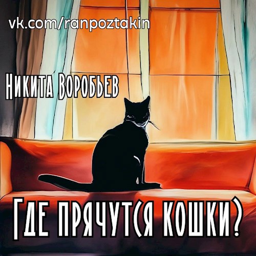 Обложка книги Где прячутся кошки?