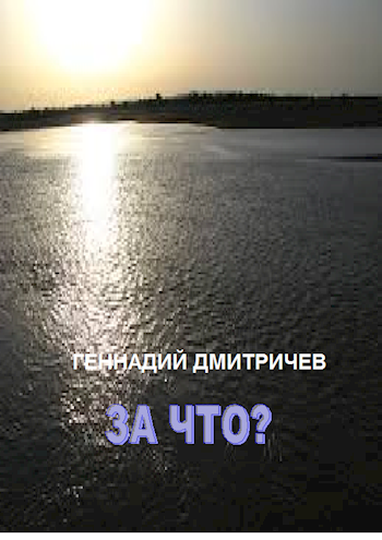 Обложка книги За что?