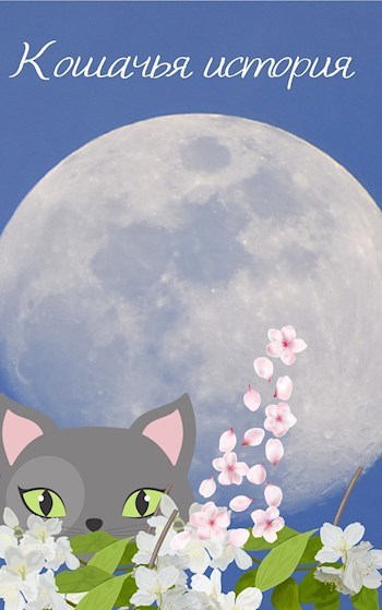 Обложка книги Кошачья история