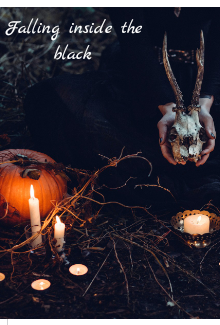 Обложка книги Falling inside the black