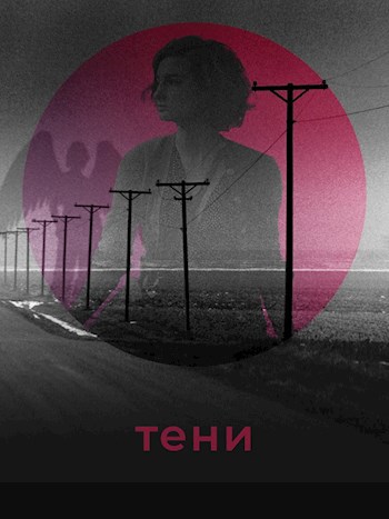 Обложка книги Тени