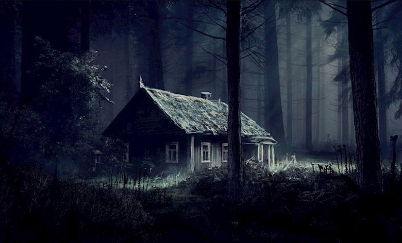 Обложка книги Нечто у хижины в лесу