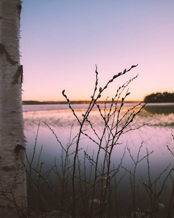 Обложка книги Словно мёд