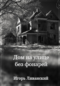 Обложка книги Дом на улице без фонарей