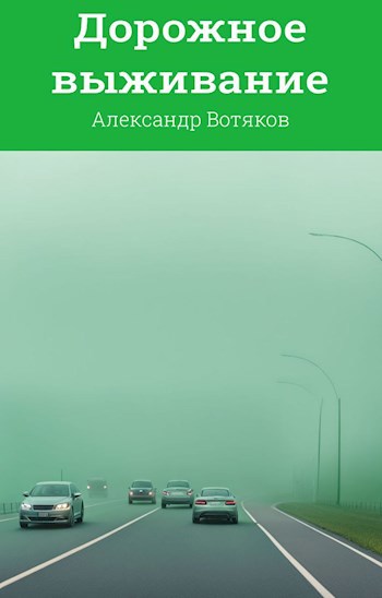 Обложка книги Дорожное выживание