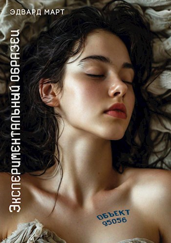 Обложка книги Экспериментальный образец