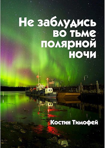 Обложка книги Не заблудись во тьме полярной ночи