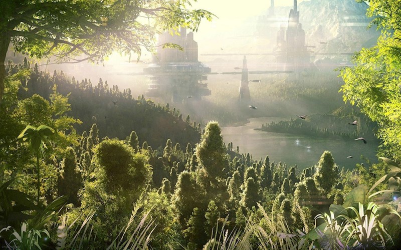 Обложка книги Город и Лес