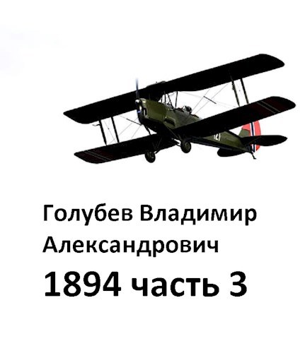 Обложка книги 1894 3часть