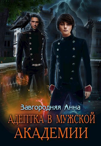 Обложка книги Адептка в мужской академии