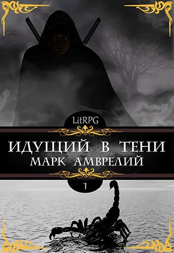 Обложка книги Идущий в тени