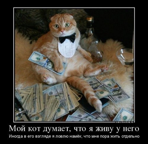 Обложка книги Об иллюзорности в восприятии жизни