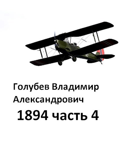 Обложка книги 1894 часть 4